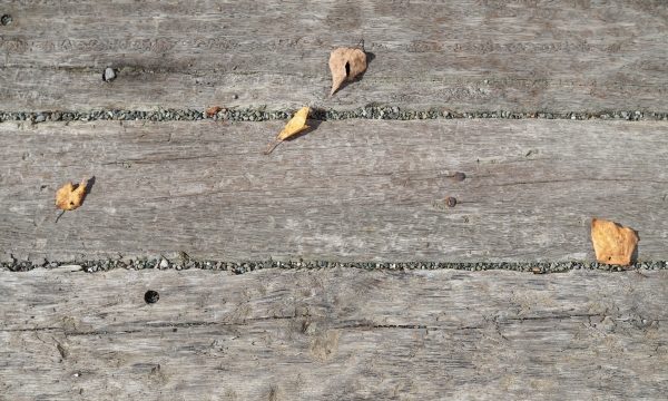 秋冬の水分補給